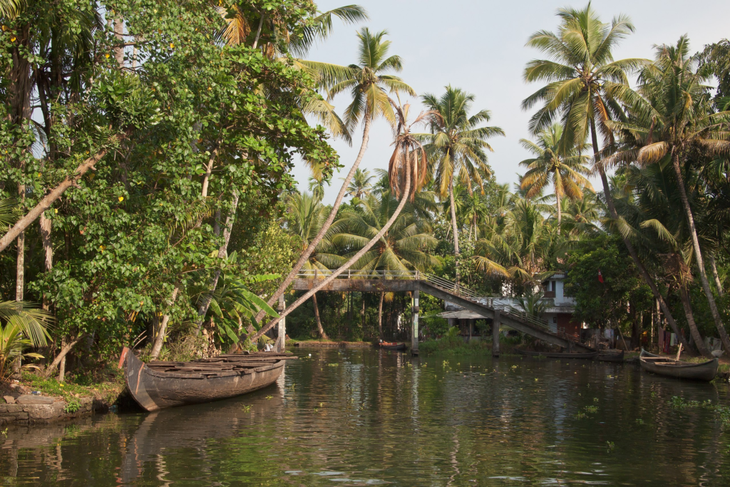 Scenic backwaters of Kerala